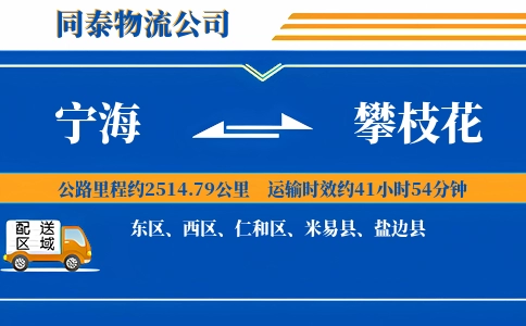宁海到攀枝花物流公司